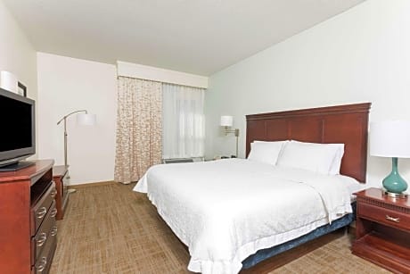 1 King Bed 1 Bedroom Suite Nonsmoking