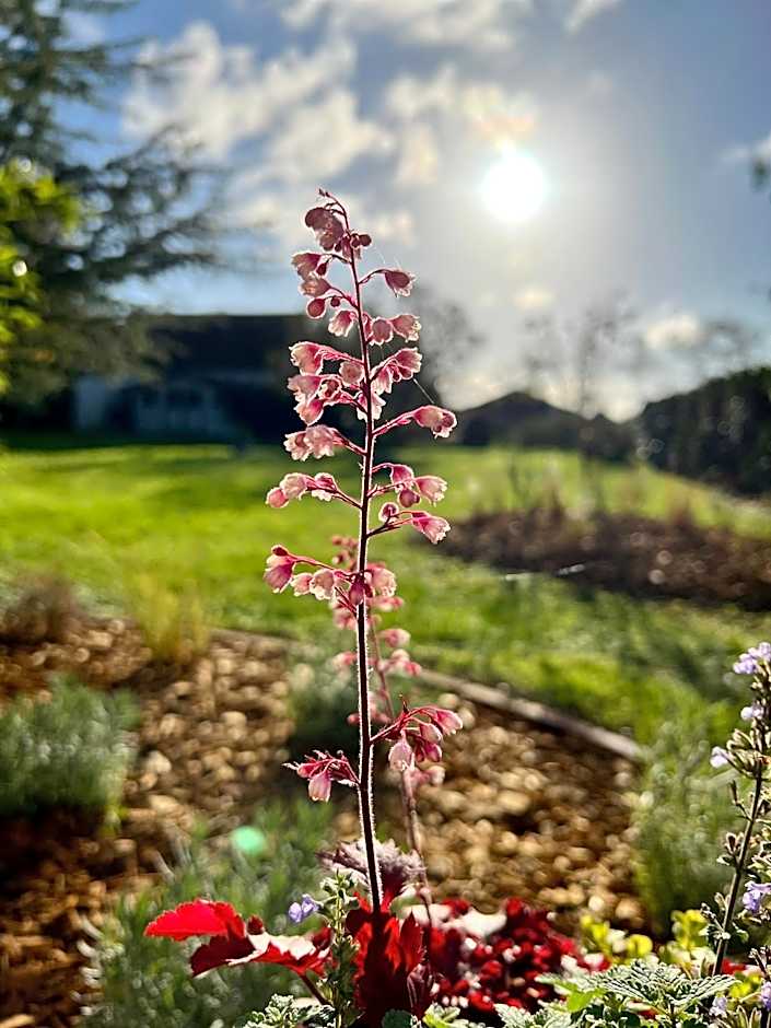 GSand Le Clos du May