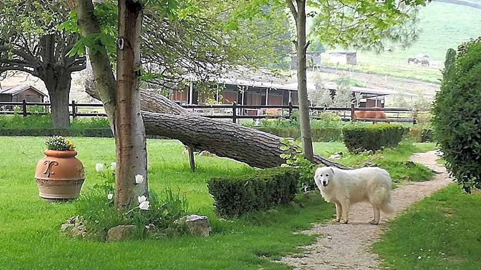 Tenuta Agricola Fonte Di Papa