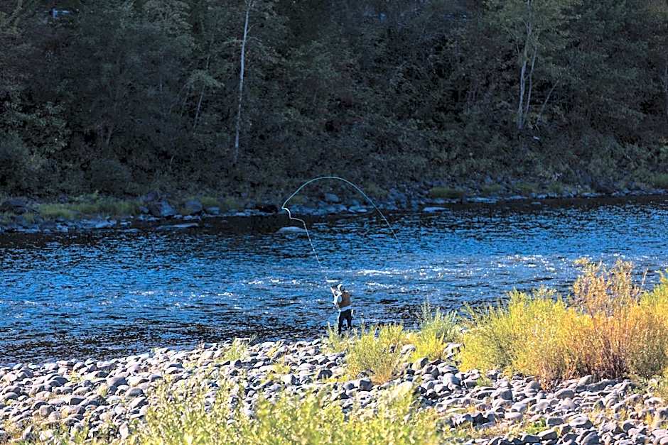 Best Western Lodge at River's Edge