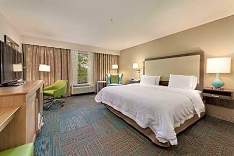 King Room - Hearing Access/Non-Smoking