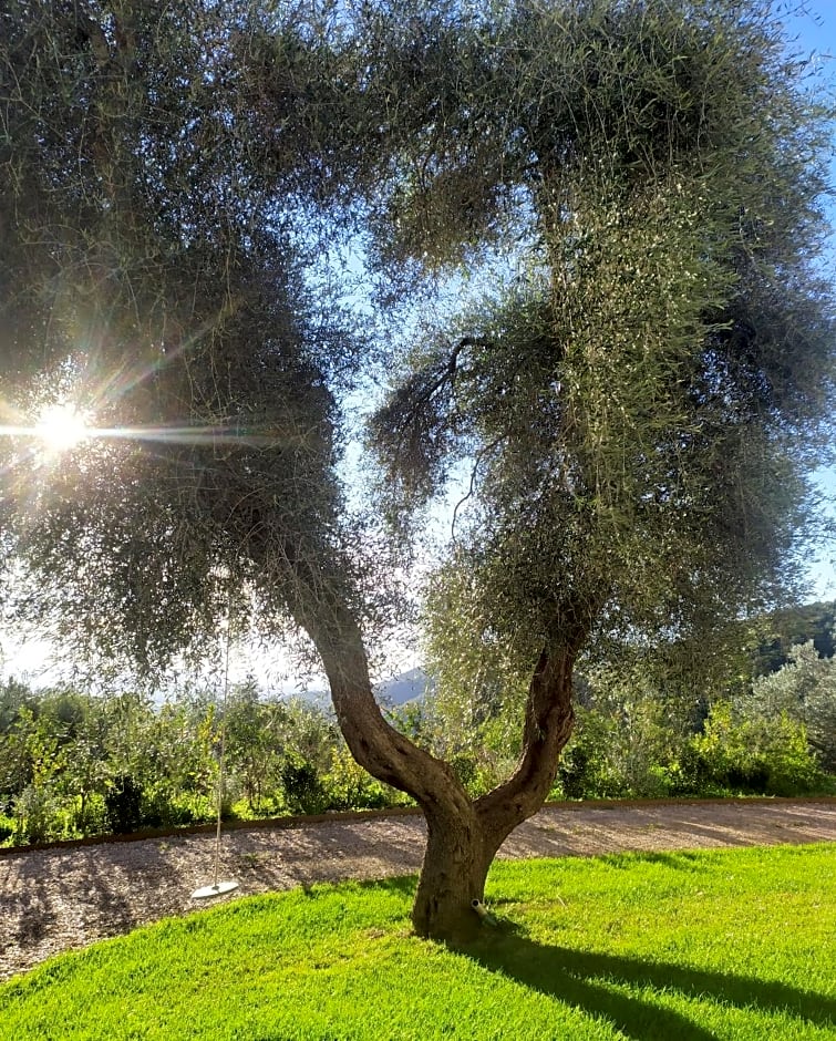 Orto de' Mandorli B&B