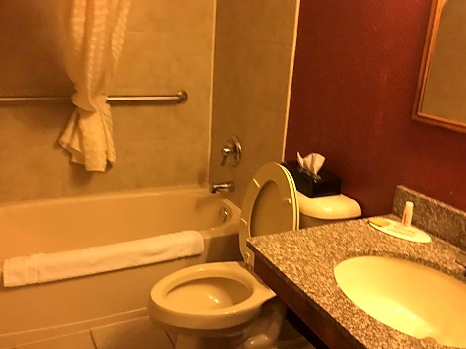 Super 8 by Wyndham New Castle
