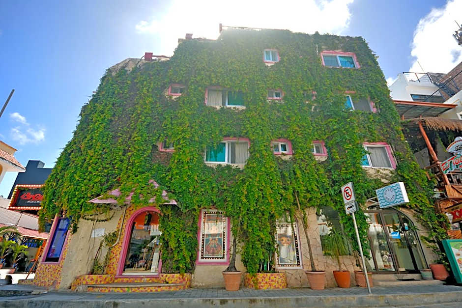Boutique Hotel Delfin 5th Avenue