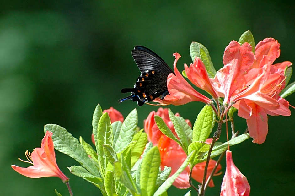 ARtINn 極寒藝術伝染装置