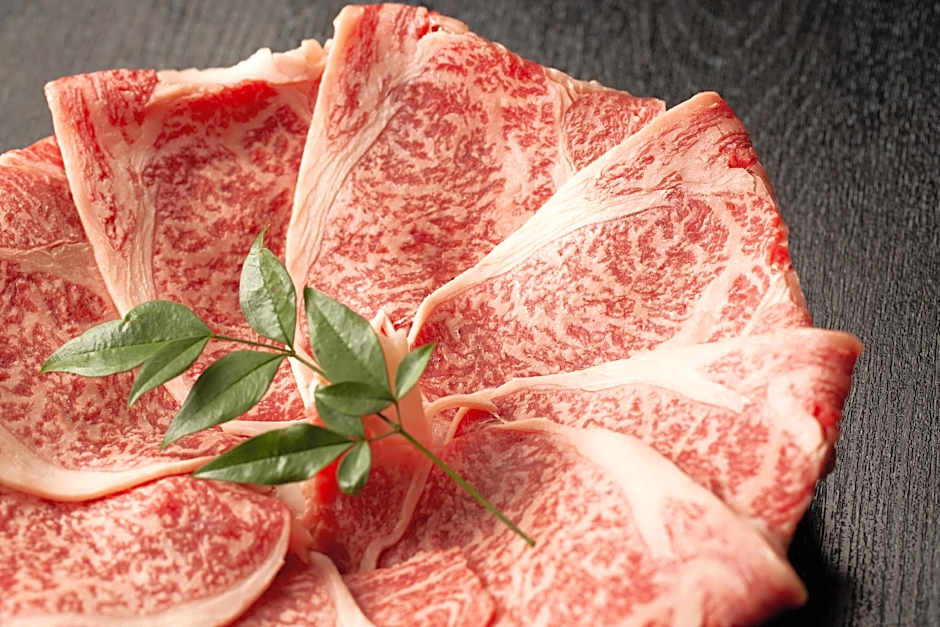 Kinosaki Onsen Oyado Seri