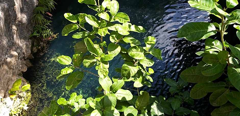 Posada Sian Kaan Playa del Carmen - Wellness Oriented Hotel