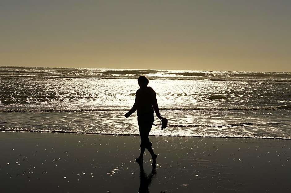 Port Waikato Holiday Park