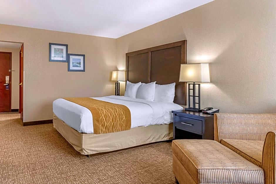 Comfort Inn & Suites Allen Park - Dearborn