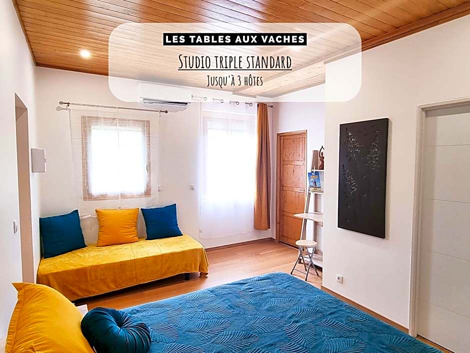 La Salvetat - Studios de vacances - Les Tables Aux Vaches