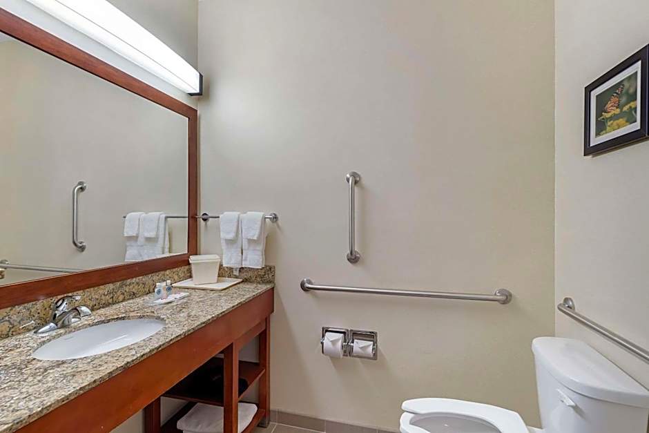 Comfort Suites Normal University area