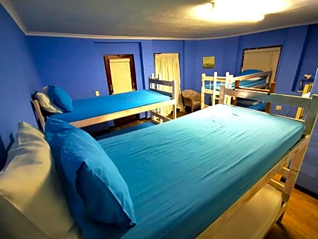 Bed in 6-Bed Mixed Dormitory Room