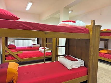 Bed in 10-Bed Mixed Dormitory Room
