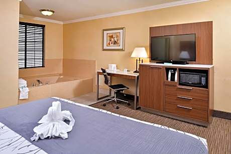 King Room with Spa Bath - Non-Smoking