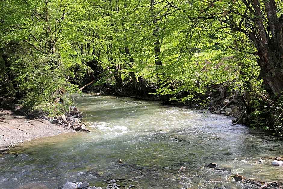 ABANT DORT MEVSİM KONAĞI HOSTEL