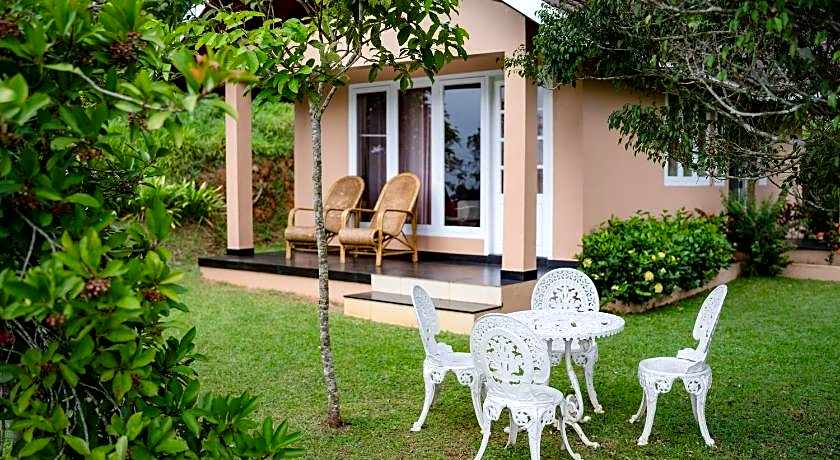 After the Rains - Rainforest Lodge