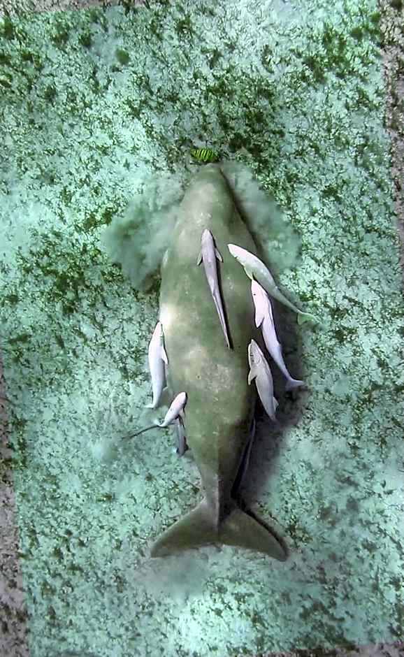 Blue Vision Diving Hotel