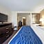 Comfort Inn Oak Ridge