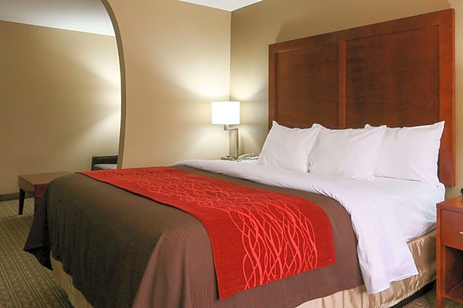 Comfort Inn & Suites Leeds I-20