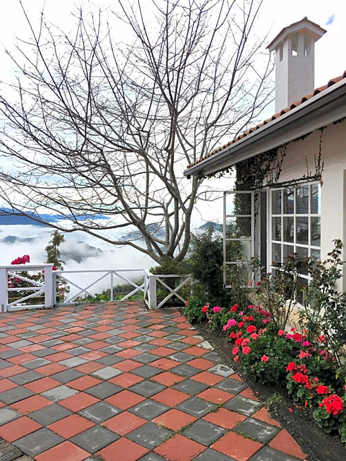 Alishan Tea Garden B&B