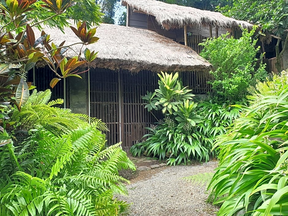 Maka-Kalinaw 5 Wabi sabi Room, Forest Deck View