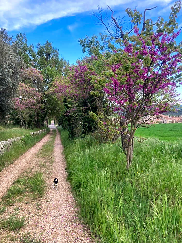 Hotel Le Moulin du Château