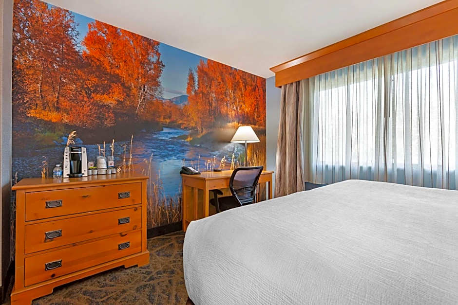 Best Western Plus Gran Tree Inn