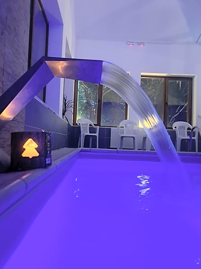 Pensiunea Montan din Bran,sat Simon SPA indoor