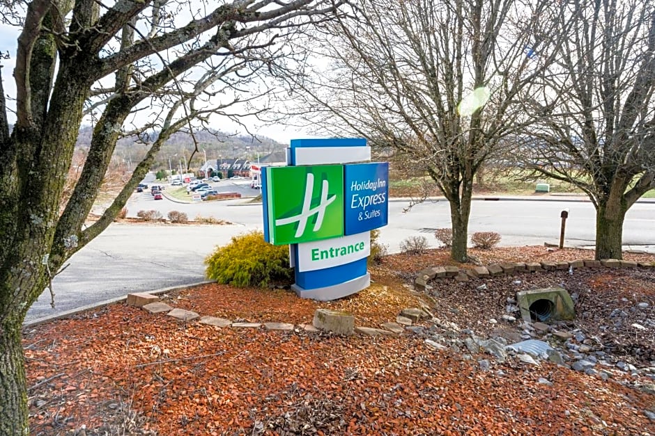 Holiday Inn Express Hotel & Suites Knoxville-North-I-75 Exit 112