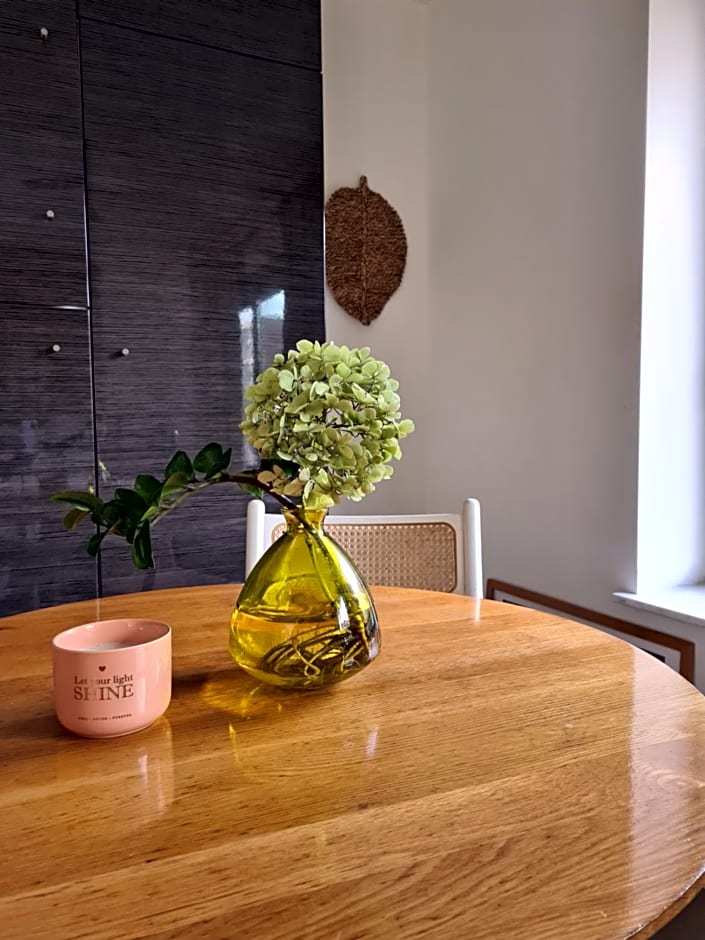 GREAT CANAL STUDIO - AC, Water view & Free parking