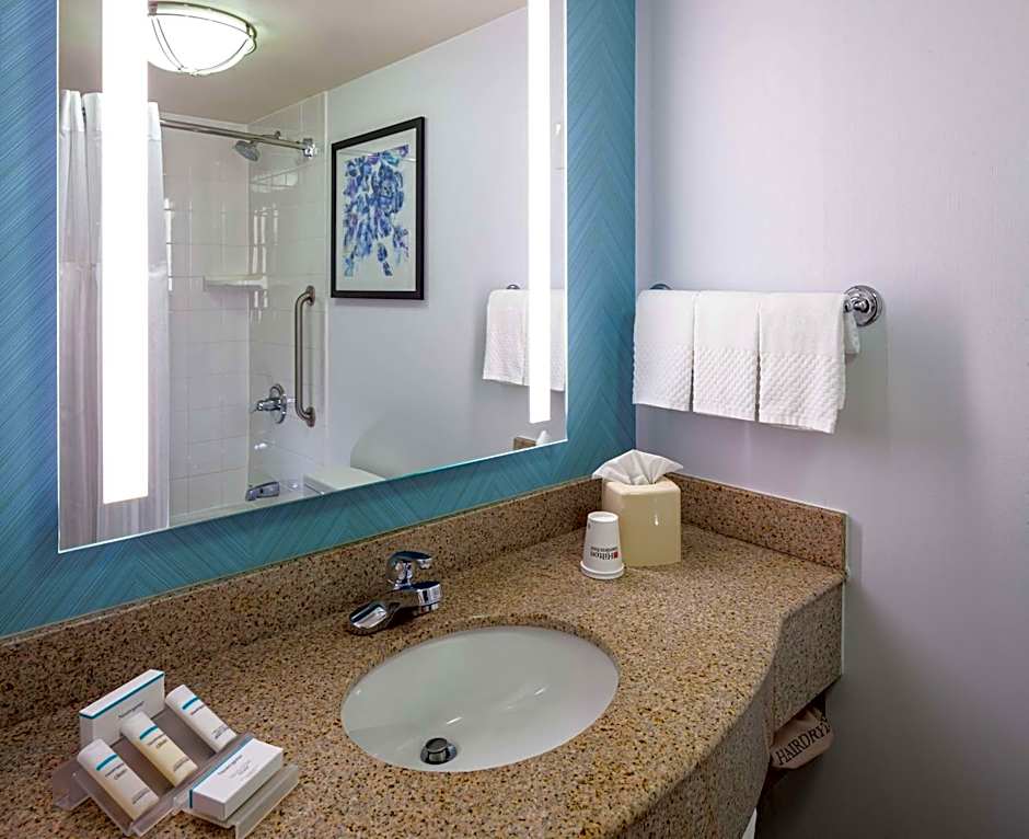 Hilton Garden Inn Chicago O' Hare