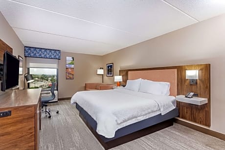 1 Queen Bed 1Bdrm Suite W/ Sofabed Nonsmoking