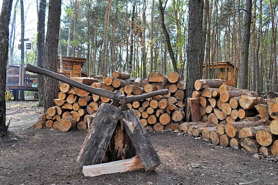 Domek na Drzewie