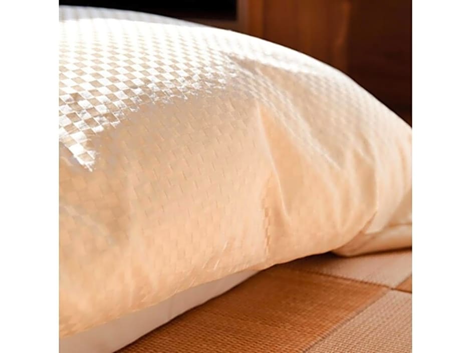 HOTEL FUTABATEI - Vacation STAY 03242v