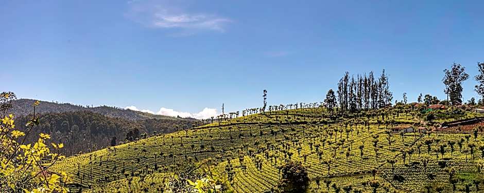 Club Mahindra Derby Green