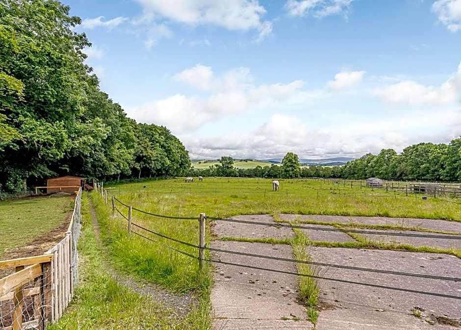 Calthwaite Hall Lodges
