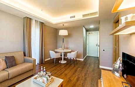 Large One-Bedroom King Suite