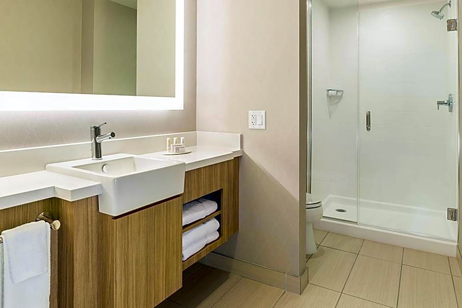 SpringHill Suites by Marriott St. Paul Downtown