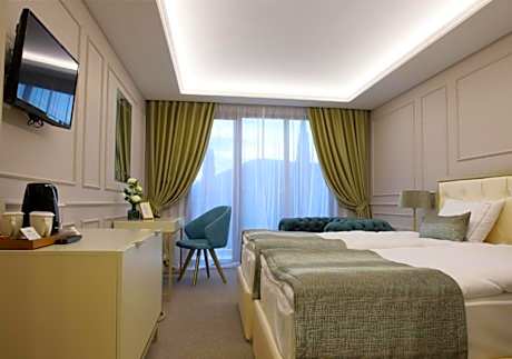 Triple Room with Mountain View