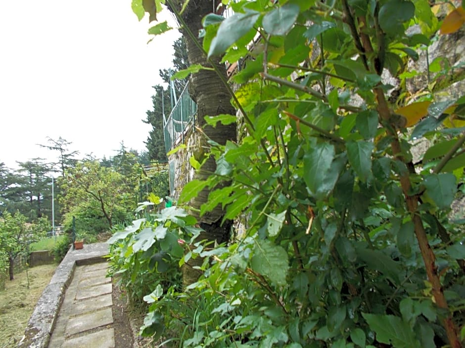 La Vecchia Locanda