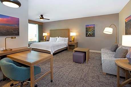 1 King Studio Suite Hearing Accessible