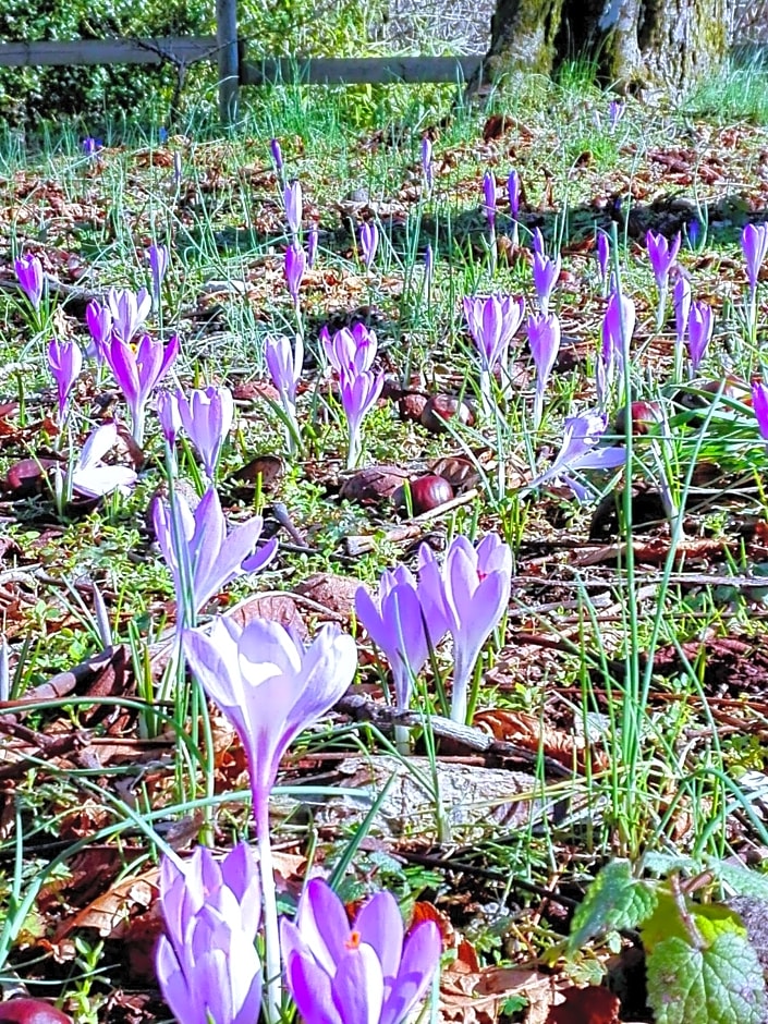 La Torretta bed & breakfast