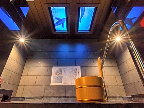 Day Use - Double room - Non-Smoking (7 hour use only)