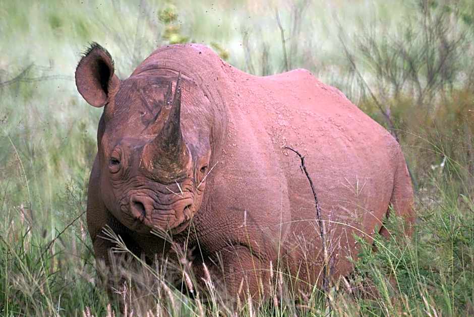 Morokolo Safari Lodge Self-catering