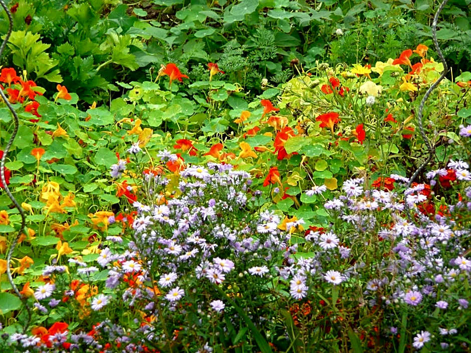 Domaine De La Cour Vautier