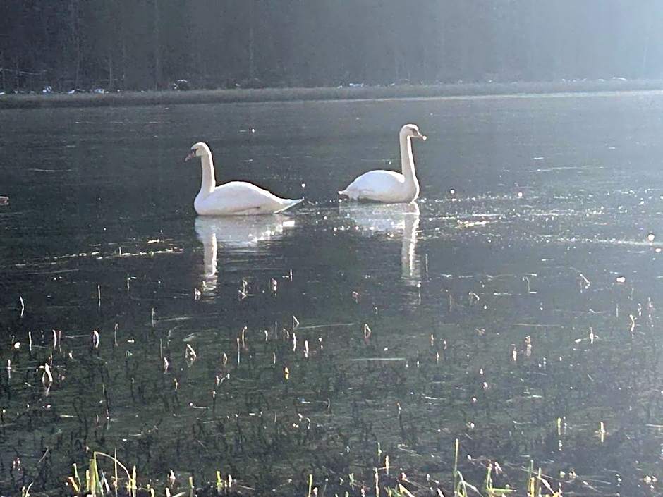 Alpengasthof Gutenbrunn