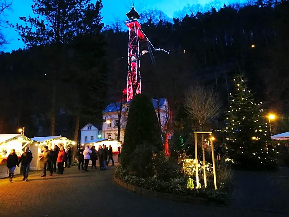 Parkhotel Bad Schandau mit SPA