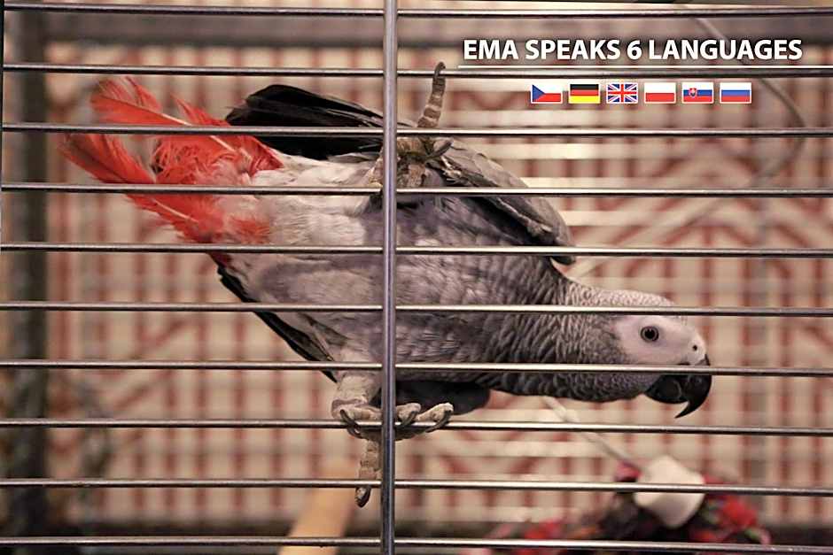 Wellness Hotel Extol Inn