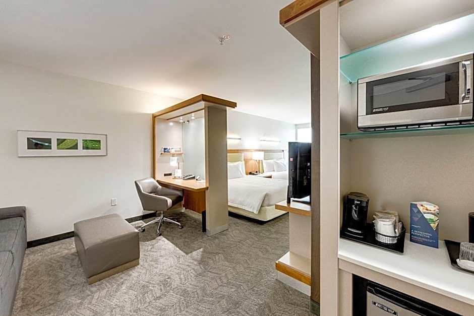 SpringHill Suites by Marriott Houston The Woodlands