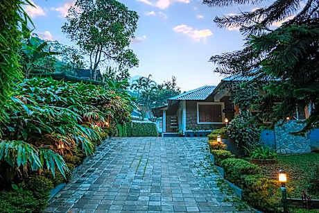 Bracknell Forest Munnar